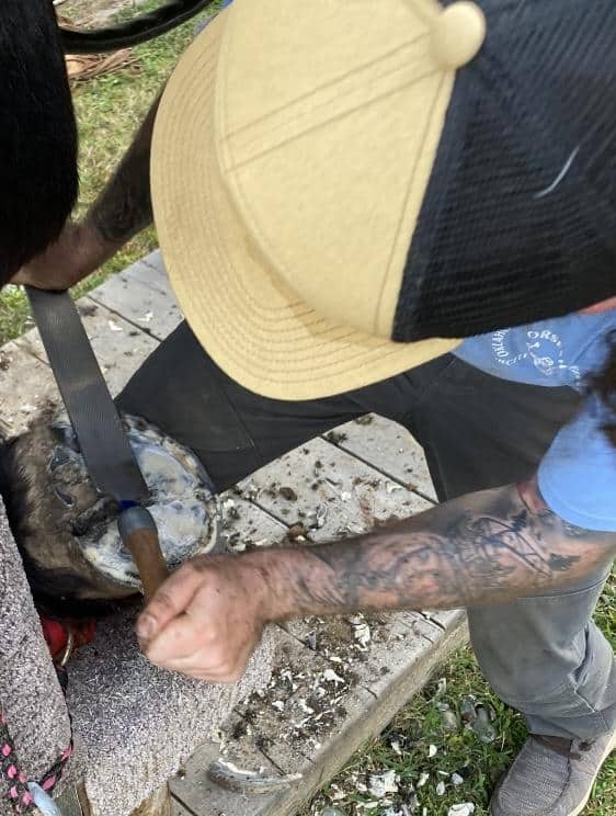 Bryan McCord-Mobile Farrier Service Atlanta, Georgia and Surrounding Areas