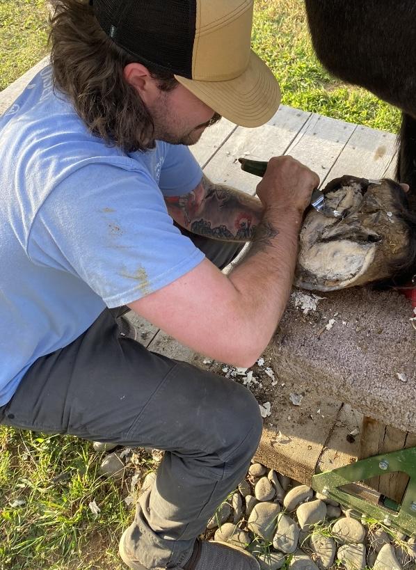Bryan McCord-Mobile Farrier Service Atlanta, Georgia and Surrounding Areas